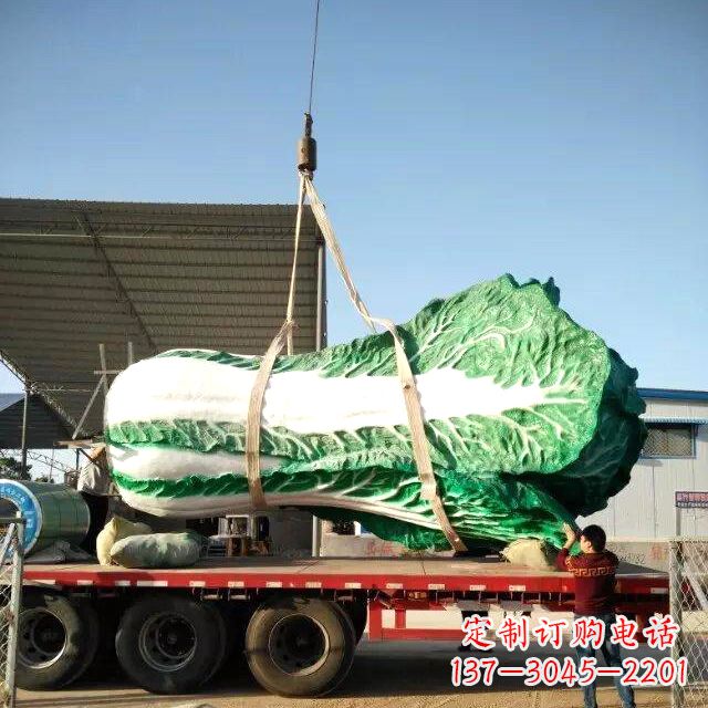 白菜之美——給你一份獨特的食材