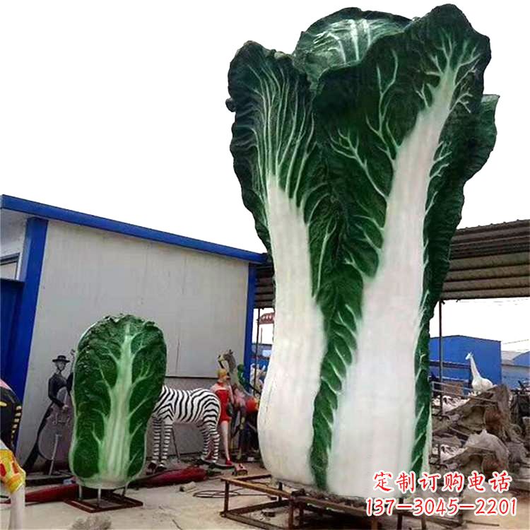 白菜藝術——融合植物與藝術的完美結合 白菜藝術——融合植物與藝術的完美結合
