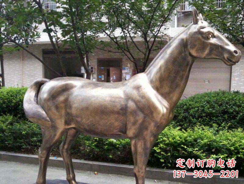 公園馬動物銅雕 (3)