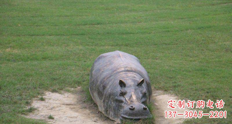 銅雕河馬雕塑 銅雕河馬雕塑