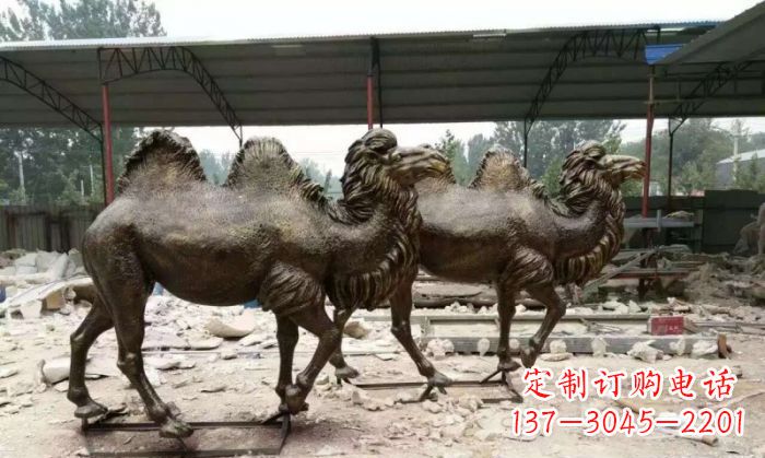 駱駝動物銅雕 (4)