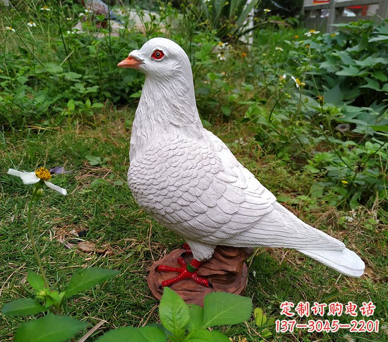 少女與和平鴿雕塑圖片大全