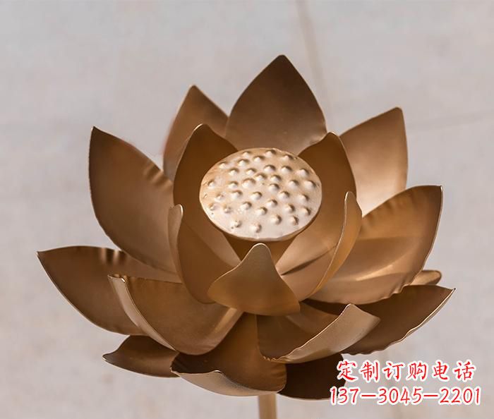 銅雕景觀荷花